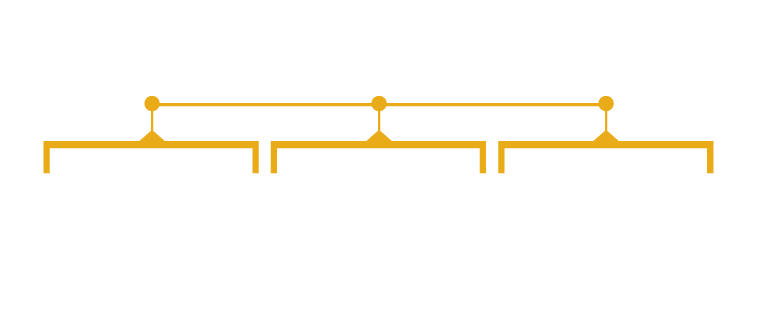 Software Development & Infrastructure Management Services